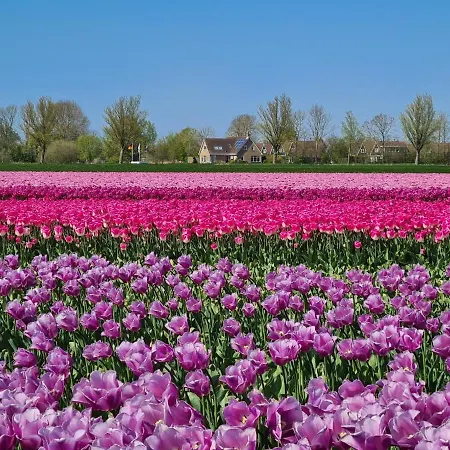 561 Op Recreatiepark De Wielen Chalé Sint Maarten
